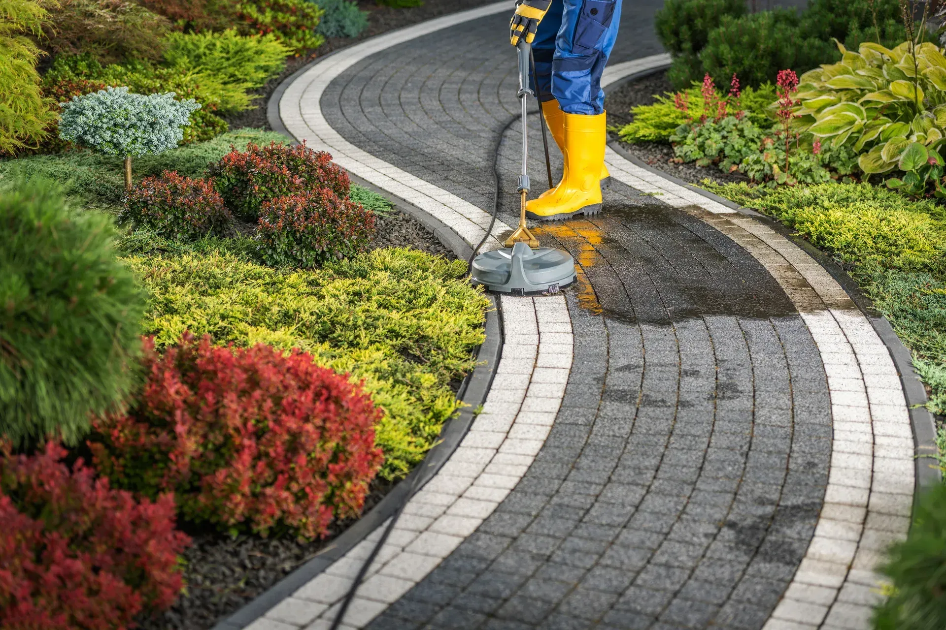 Gutter and roof cleaning service